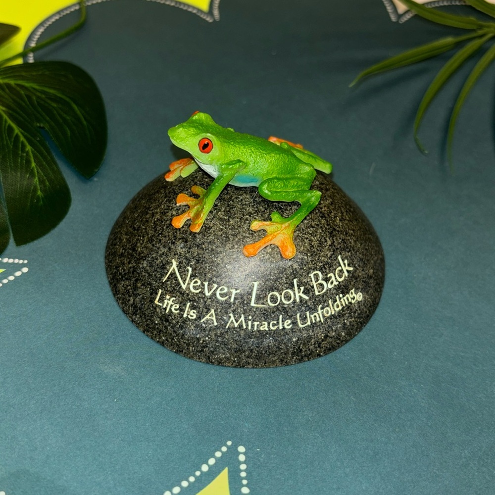 Frog Decor